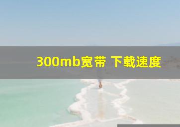 300mb宽带 下载速度